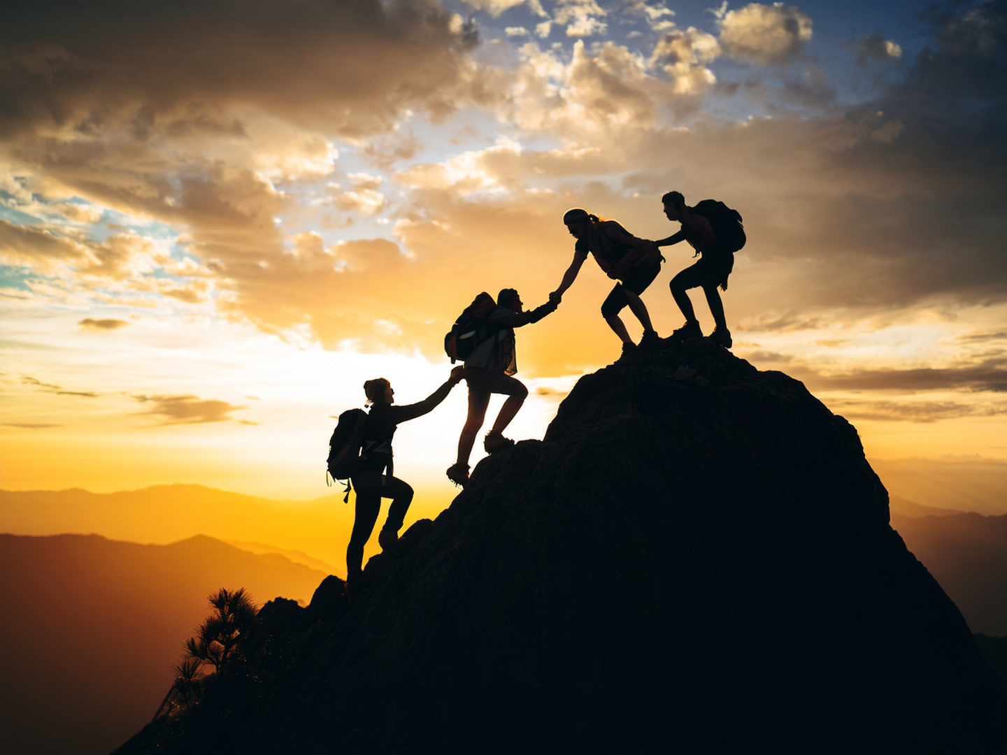 A group of people helping each other up a mountain at sunset, symbolizing the Eloi & Stella community